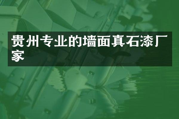 贵州专业的墙面真石漆厂家