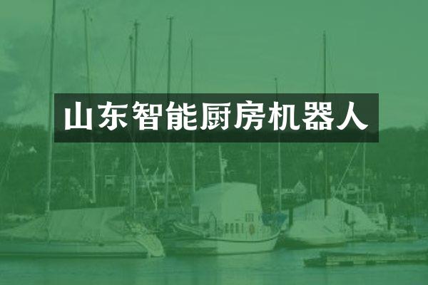 山东智能厨房机器人
