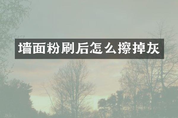 墙面粉刷后怎么擦掉灰