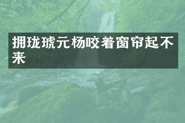 拥珑琥元杨咬着窗帘起不来