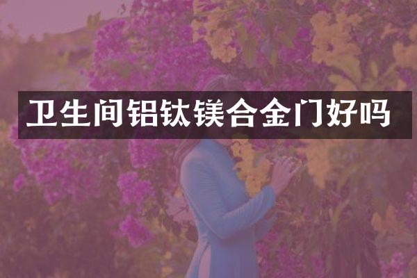 卫生间铝钛镁合金门好吗