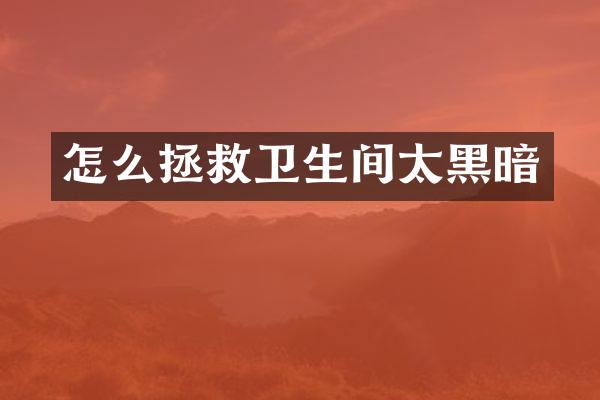 怎么拯救卫生间太黑暗