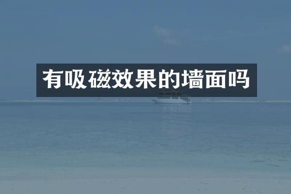 有吸磁效果的墙面吗