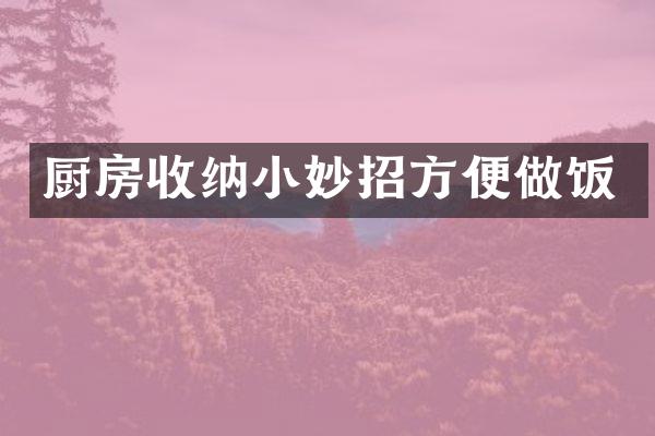厨房收纳小妙招方便做饭