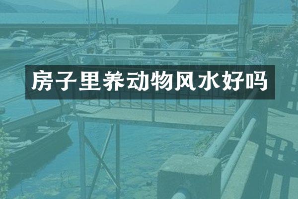 房子里养动物风水好吗