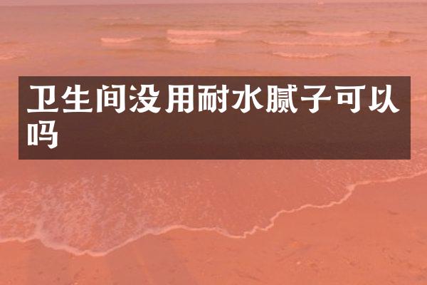 卫生间没用耐水腻子可以吗