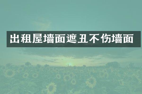 出租屋墙面遮丑不伤墙面