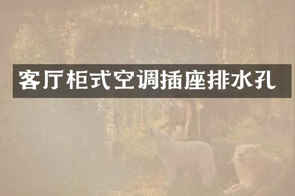 客厅柜式空调插座排水孔