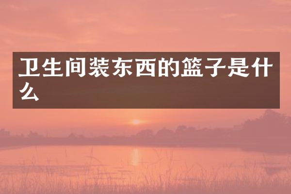 卫生间装东西的篮子是什么