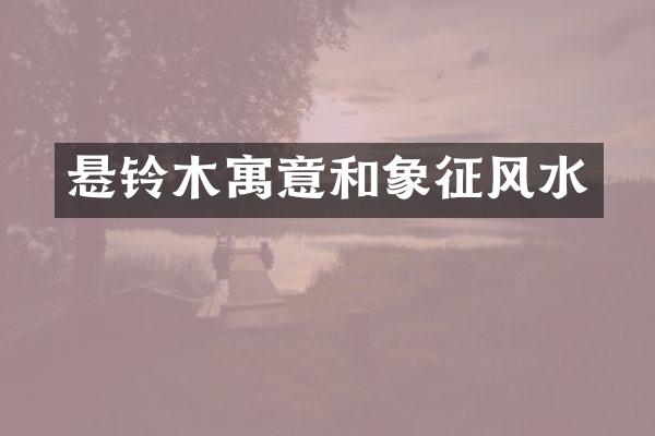 悬铃木寓意和象征风水