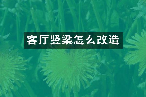 客厅竖梁怎么改造