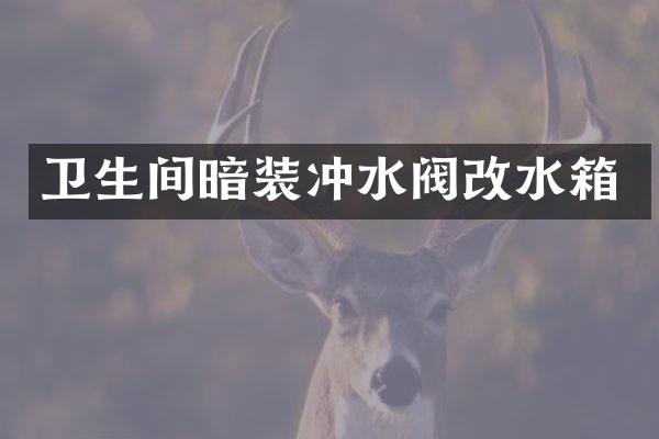 卫生间暗装冲水阀改水箱