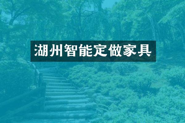 湖州智能定做家具
