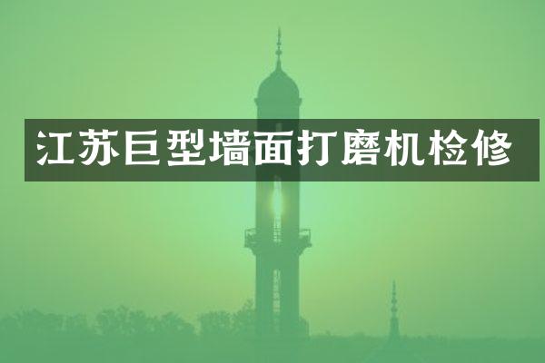 江苏巨型墙面打磨机检修