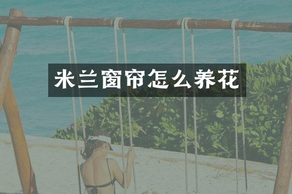 米兰窗帘怎么养花