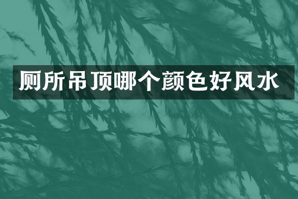 厕所吊顶哪个颜色好风水
