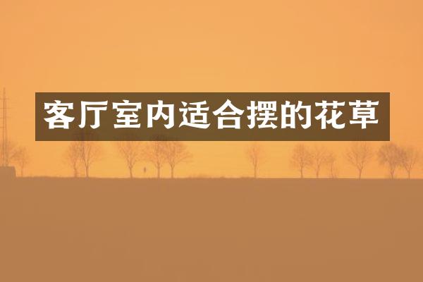 客厅室内适合摆的花草