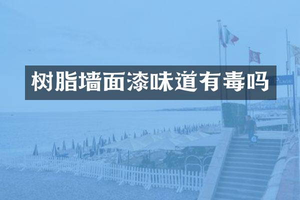 树脂墙面漆味道有毒吗