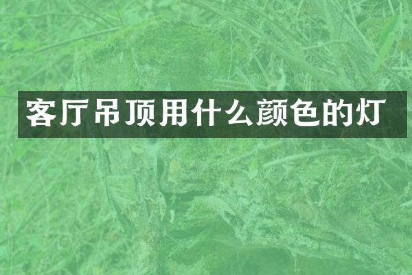 客厅吊顶用什么颜色的灯