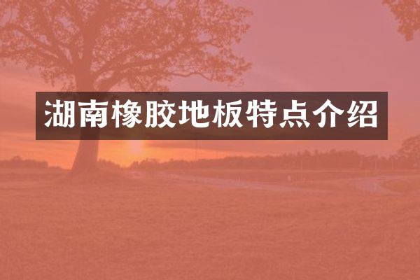 湖南橡胶地板特点介绍