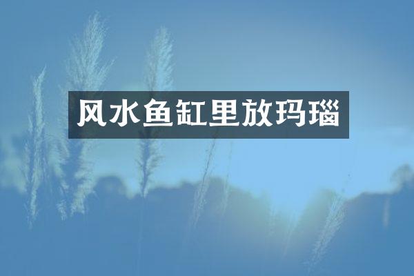风水鱼缸里放玛瑙