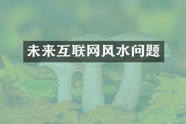 未来互联网风水问题