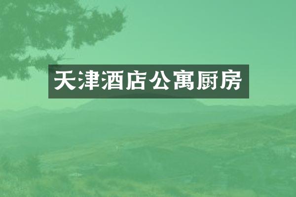 天津酒店公寓厨房
