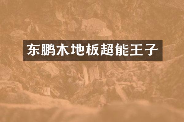 东鹏木地板超能王子