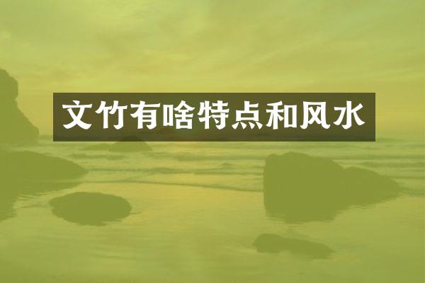 文竹有啥特点和风水