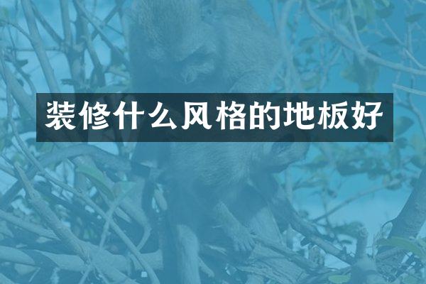 装修什么风格的地板好