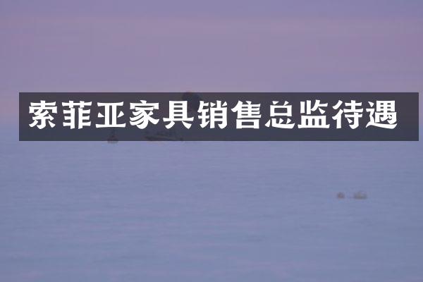 索菲亚家具销售总监待遇