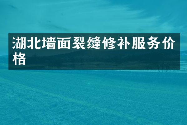 湖北墙面裂缝修补服务价格