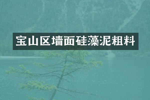 宝山区墙面硅藻泥粗料