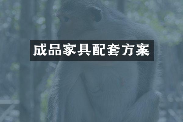 成品家具配套方案