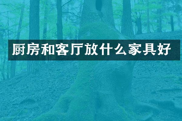 厨房和客厅放什么家具好