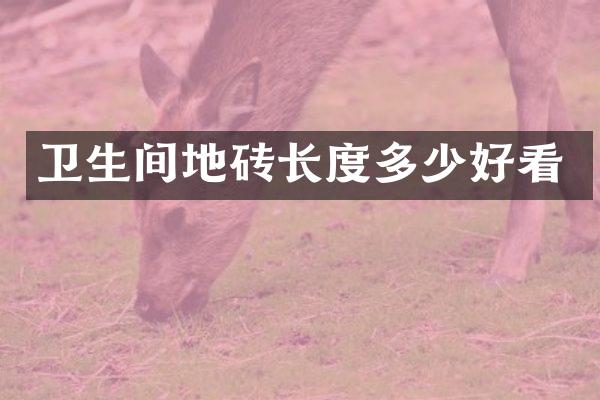 卫生间地砖长度多少好看