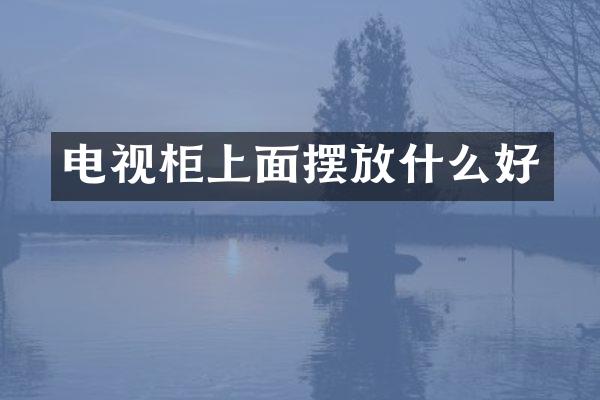 电视柜上面摆放什么好