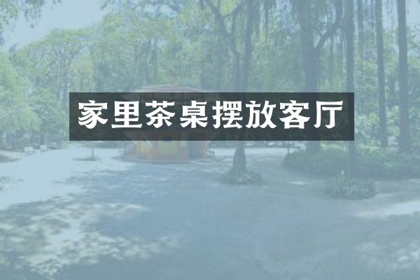家里茶桌摆放客厅