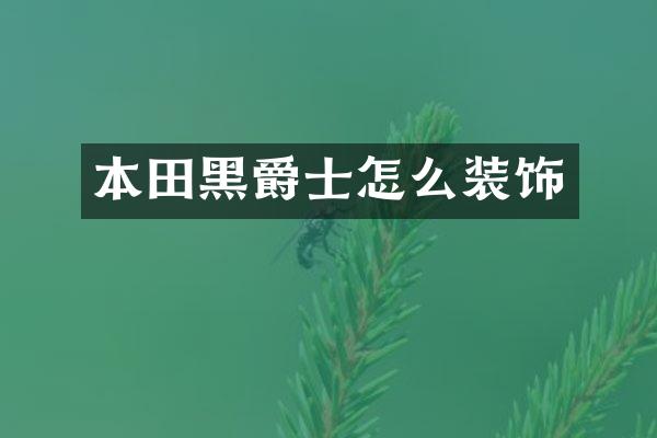 本田黑爵士怎么装饰