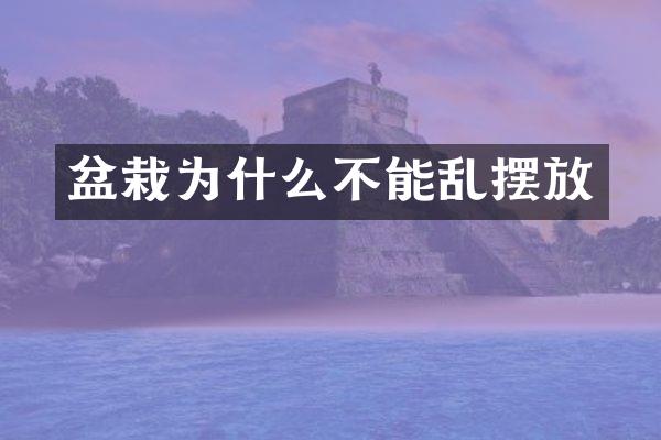 盆栽为什么不能乱摆放