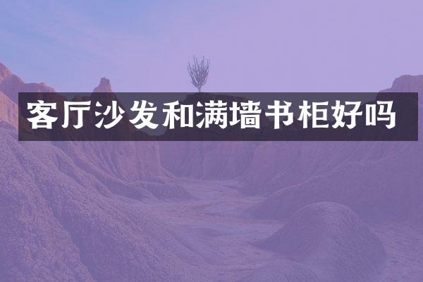 客厅沙发和满墙书柜好吗