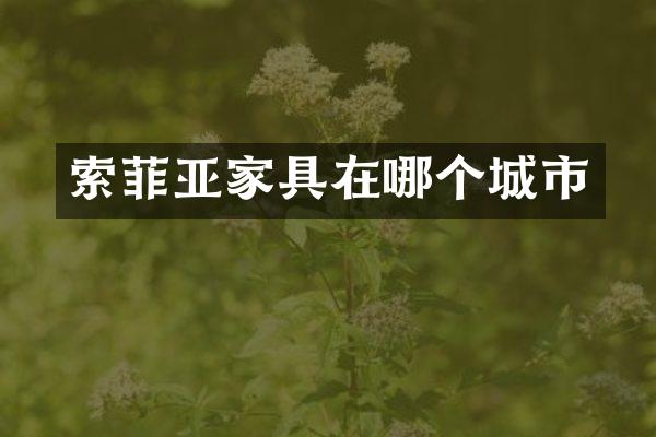 索菲亚家具在哪个城市