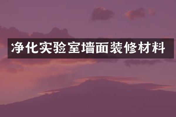 净化实验室墙面装修材料