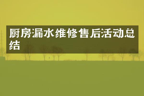 厨房漏水维修售后活动总结