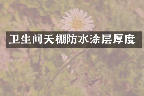 卫生间天棚防水涂层厚度
