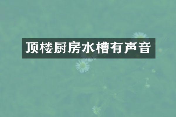 顶楼厨房水槽有声音