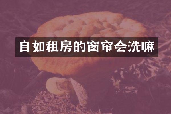 自如租房的窗帘会洗嘛