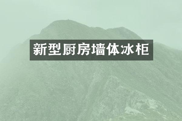新型厨房墙体冰柜