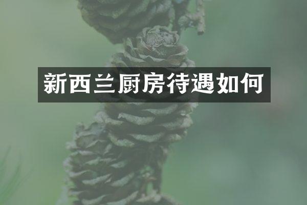 新西兰厨房待遇如何