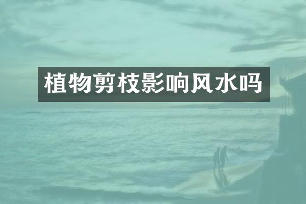 植物剪枝影响风水吗